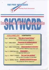 SKYWORD Volume 24