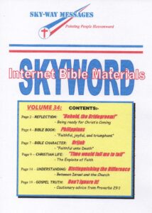 skyway-8051